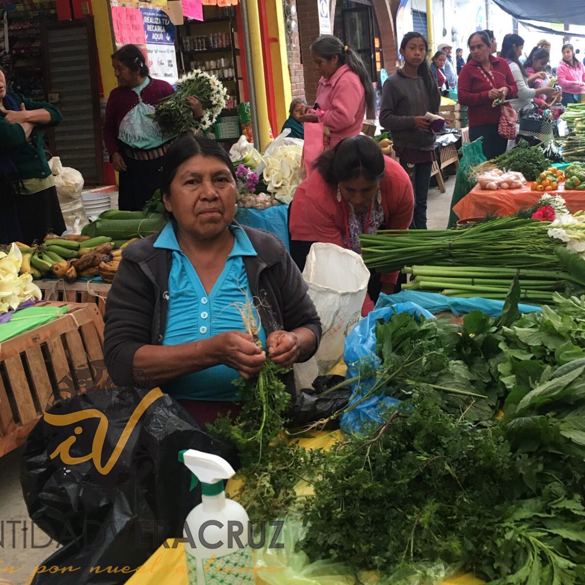 Recetas indígenas, rescate de nuestros orígenes - Identidad Veracruz