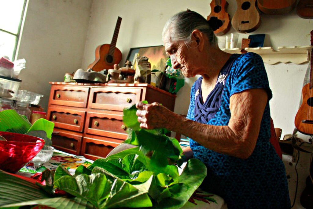 La chogosta, una tierra deliciosa - Identidad Veracruz