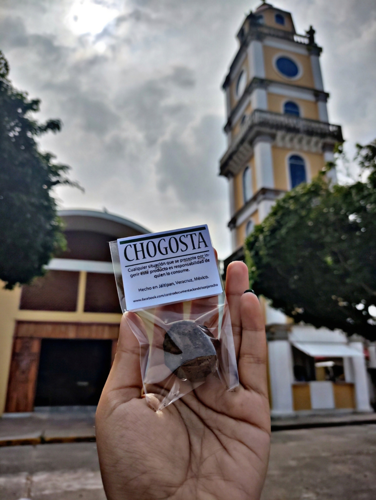 Chogosta, la tierra comestible de Veracruz - El Sol de Tlaxcala